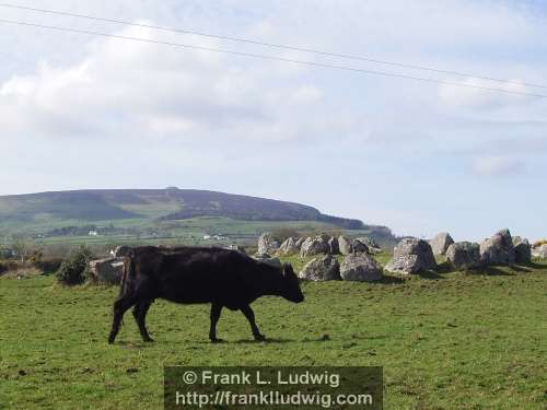 Carrowmore